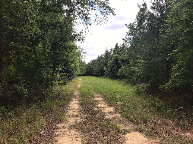 0 Co Rd 54, Skipperville, AL 36374