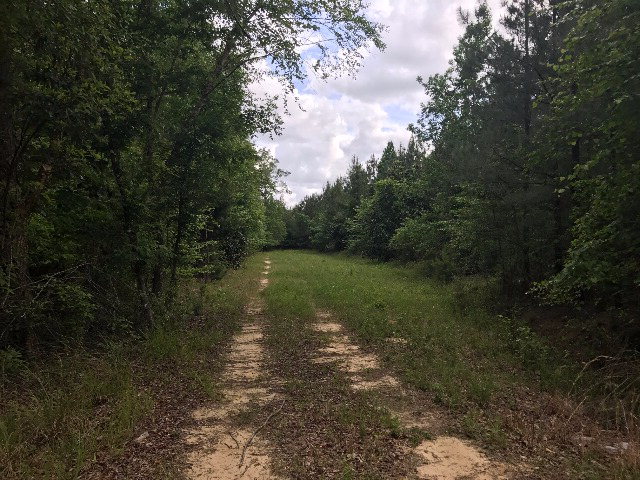 0 Co Rd 54, Skipperville, AL 36374