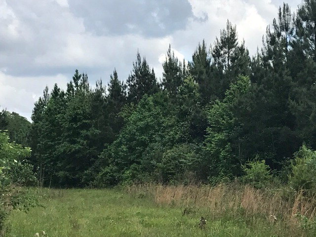 0 Co Rd 54, Skipperville, AL 36374