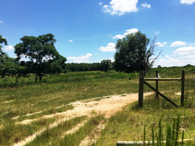 42 COUNTY ROAD 81, Slocomb, AL 36375