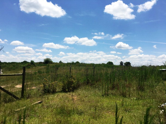 42 COUNTY ROAD 81, Slocomb, AL 36375