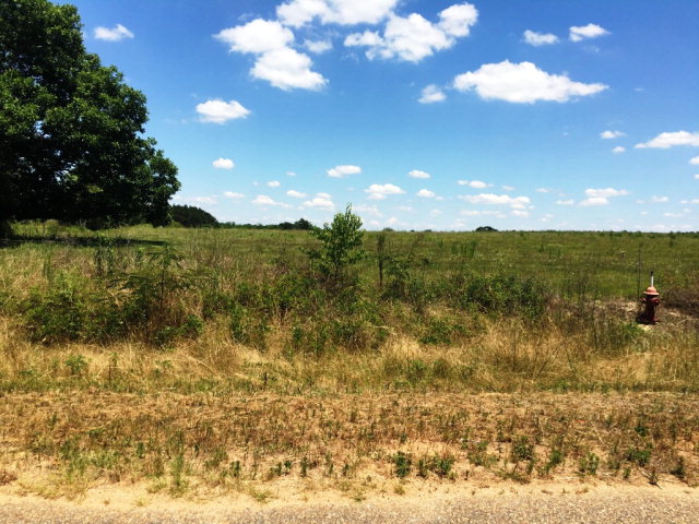 42 COUNTY ROAD 81, Slocomb, AL 36375