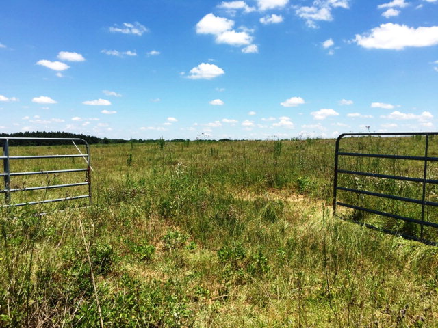 42 COUNTY ROAD 81, Slocomb, AL 36375