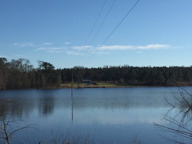 0 County Road 16, Slocomb, AL 36375