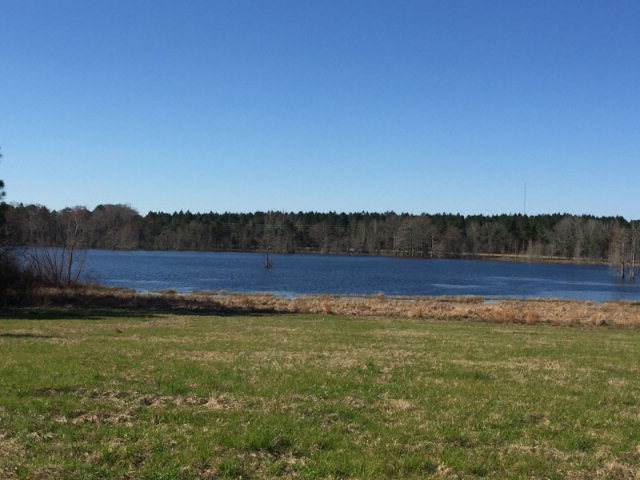 0 County Road 16, Slocomb, AL 36375