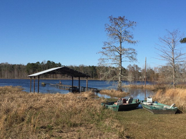 0 County Road 16, Slocomb, AL 36375