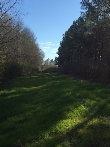 0 County Road 16, Slocomb, AL 36375