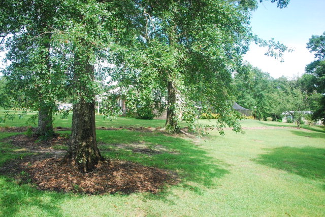 31624 Highway 31, Brewton, AL 36426