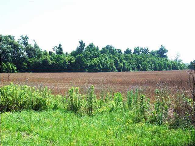 2000 BLOCK N HWY 21, Atmore, AL 36502