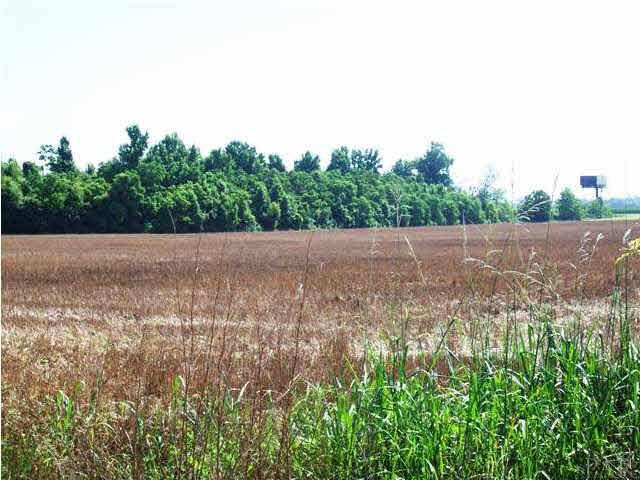 2000 BLOCK N HWY 21, Atmore, AL 36502