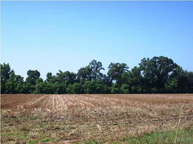 2000 BLOCK N HWY 21, Atmore, AL 36502