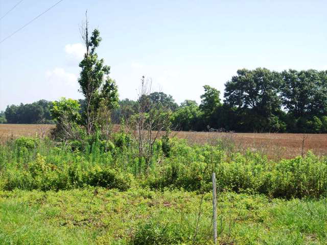 2000 Highway 21, Atmore, AL 36502