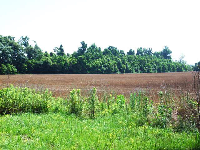 2000 Highway 21, Atmore, AL 36502