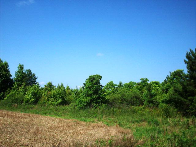 2000 Highway 21, Atmore, AL 36502