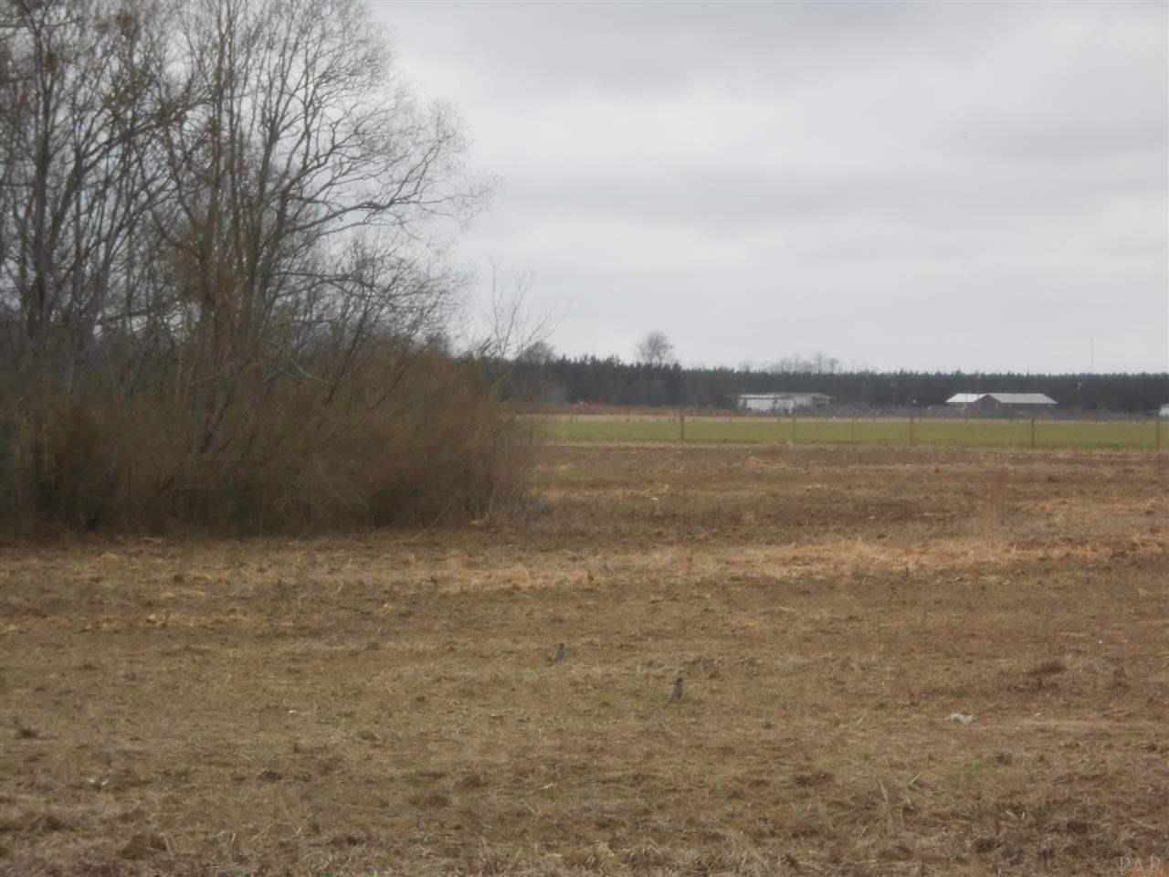 1 JACK SPRINGS RD, Atmore, AL 36502