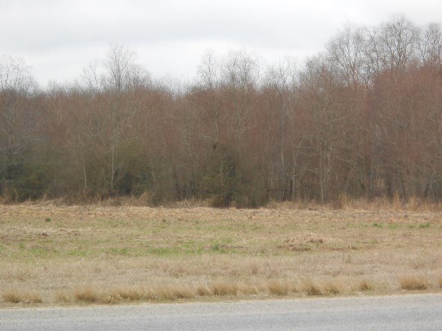 1 Jack Springs Rd, Atmore, AL 36502