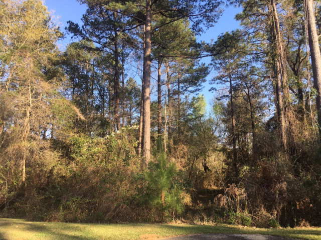 0 Northshore Drive, Bay Minette, AL 36507