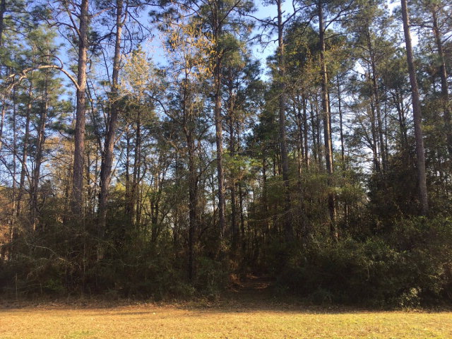 0 Northshore Drive, Bay Minette, AL 36507