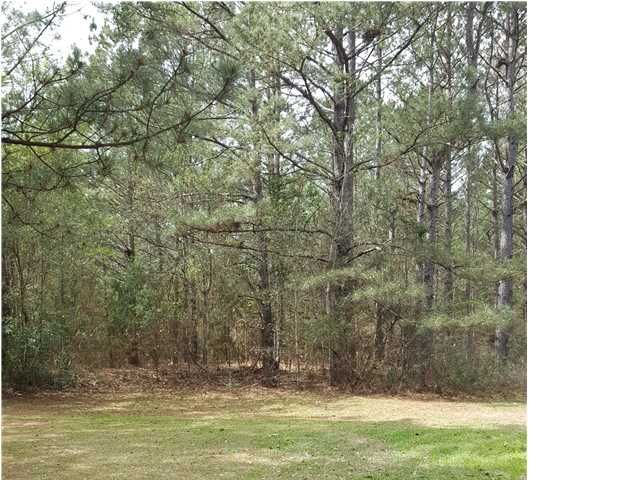 0LOTT CEMETERY RD, Chunchula, AL 36521