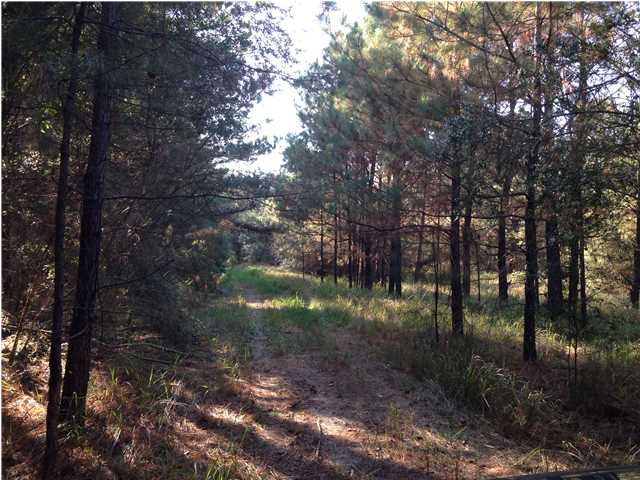 13500LOTT RD, Chunchula, AL 36521