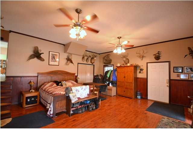 20095GRIFFIN DR, Citronelle, AL 36522