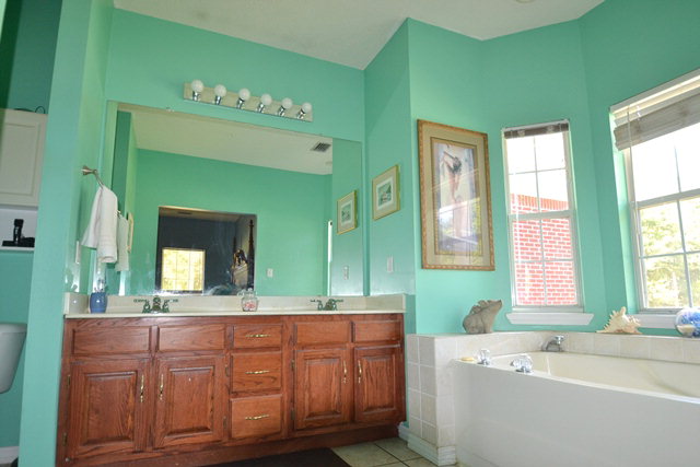 20095 Griffin Rd, Citronelle, AL 36522