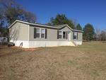 1370 BLUE MOUNTAIN R ,AL, Coffeeville, 36524