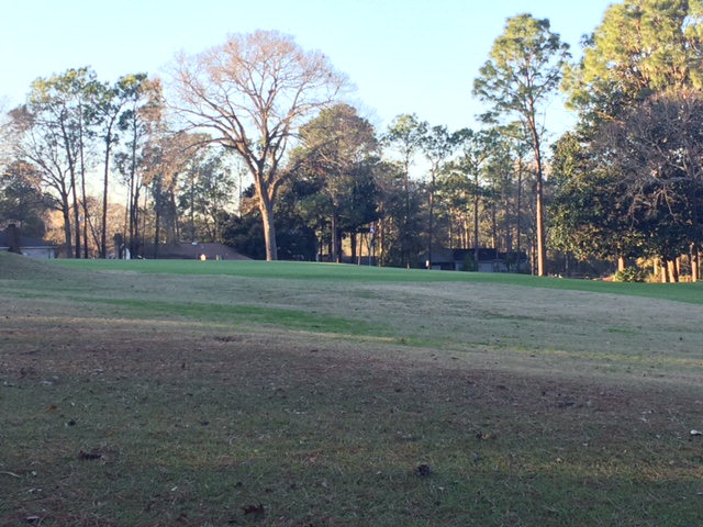 141 Rolling Hill Drive, Daphne, AL 36526