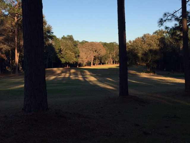 141 Rolling Hill Drive, Daphne, AL 36526