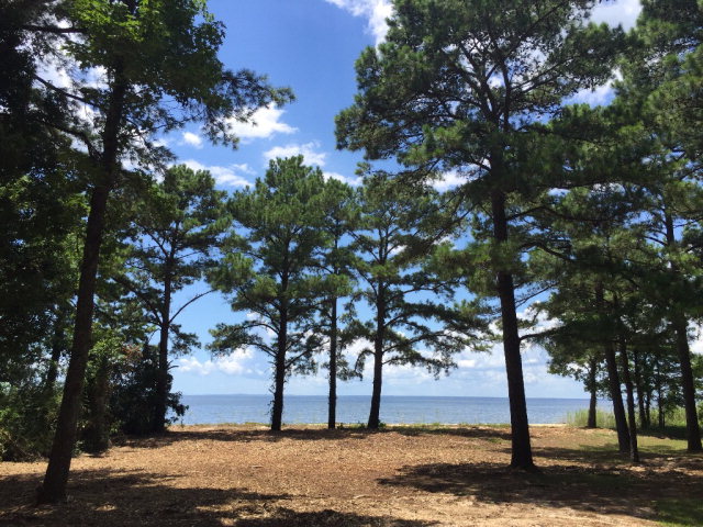 347 Grays Lane, Daphne, AL 36526