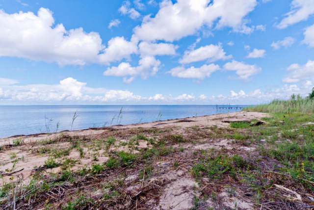 347 Grays Lane, Daphne, AL 36526