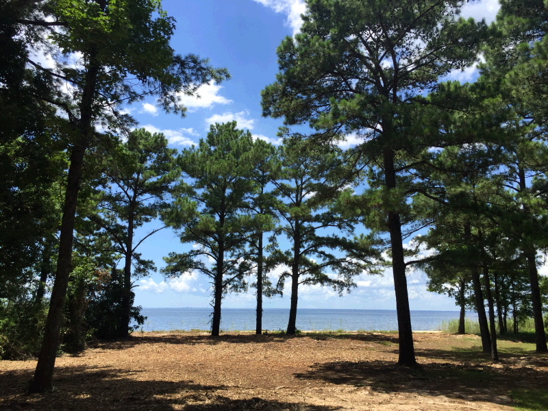 347 Grays Lane, Daphne, AL 36526