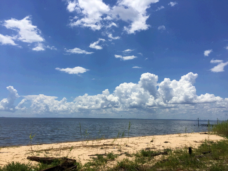 347 Grays Lane, Daphne, AL 36526