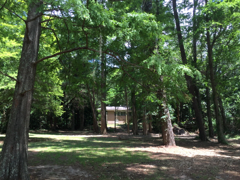 347 Grays Lane, Daphne, AL 36526