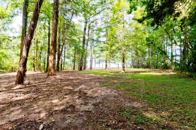 347 Grays Lane, Daphne, AL 36526