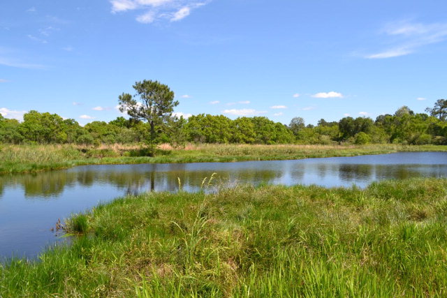 27618 US Highway 98, Elberta, AL 36530