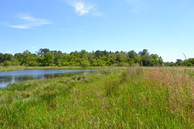 27618 US Highway 98, Elberta, AL 36530