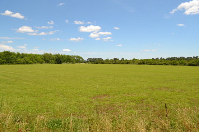 27618 US Highway 98, Elberta, AL 36530