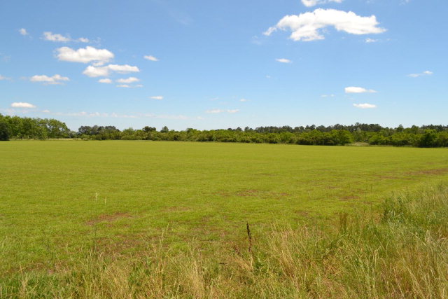 27618 US Highway 98, Elberta, AL 36530
