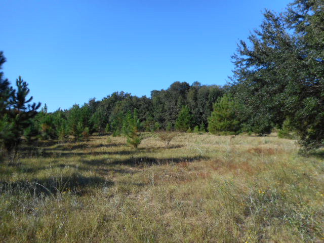 0 Red Barn Road, Fairhope, AL 36532