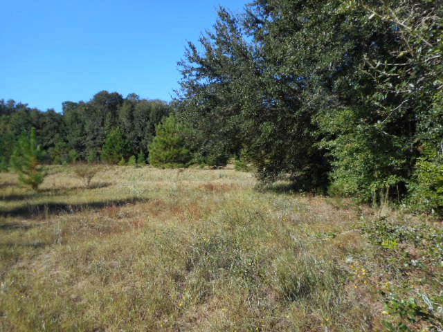 0 Red Barn Road, Fairhope, AL 36532