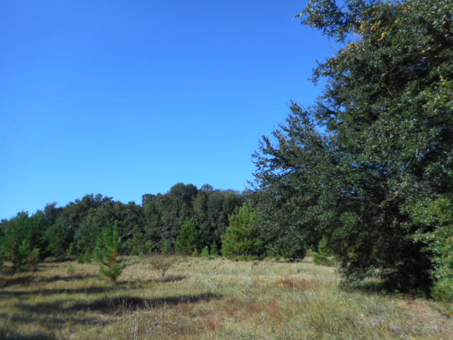0 Red Barn Road, Fairhope, AL 36532