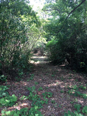0 County Road 48, Fairhope, AL 36532