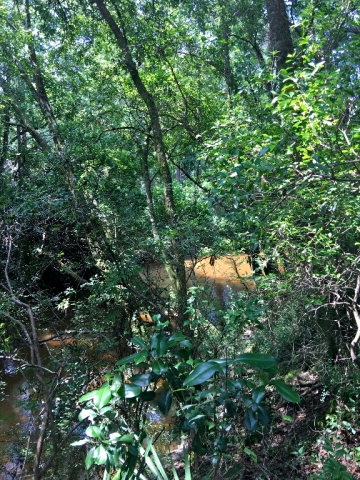 0 County Road 48, Fairhope, AL 36532