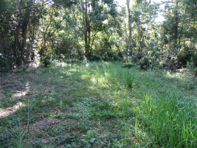 161 Ettle Street, Fairhope, AL 36532