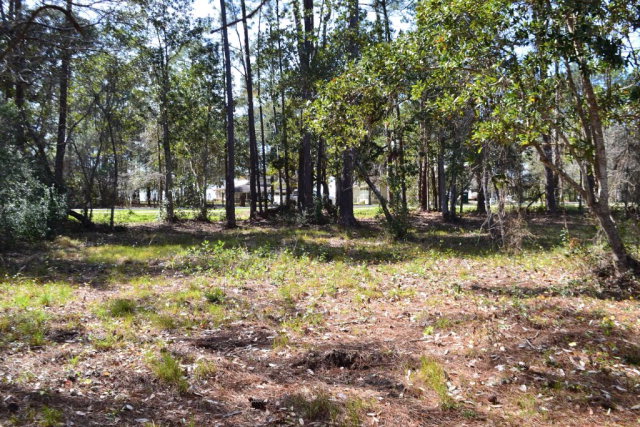 0 Scenic Highway 98, Fairhope, AL 36532