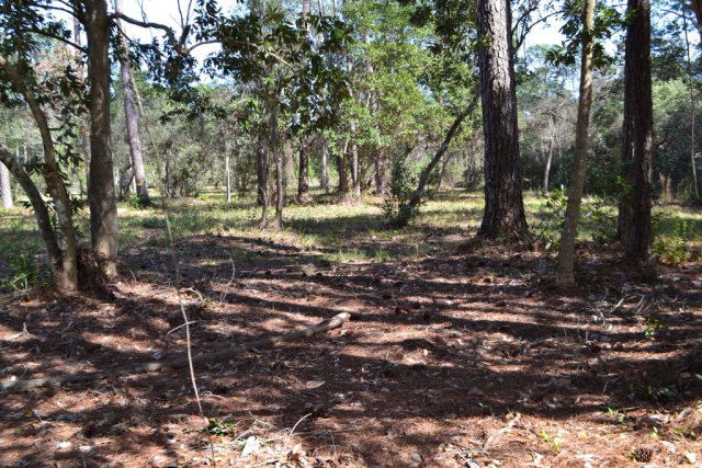 0 Scenic Highway 98, Fairhope, AL 36532