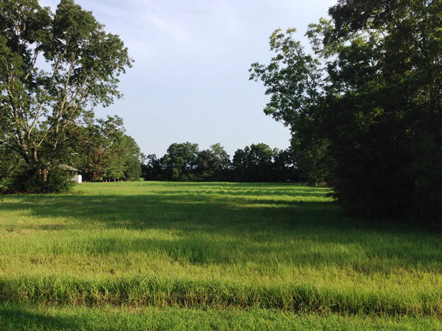 0 Fieldcrest Lane Lot 2, Fairhope, AL 36532