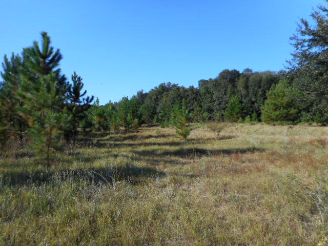 0 Boone Lane, Fairhope, AL 36532