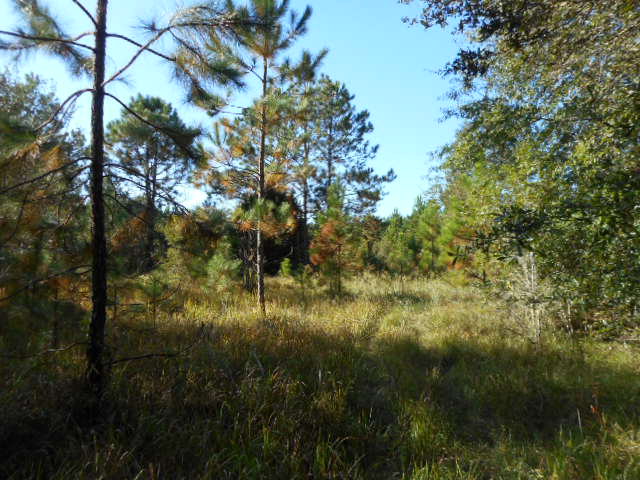 0 Boone Lane, Fairhope, AL 36532